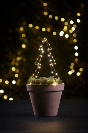 LED kuusk Day 70 LED