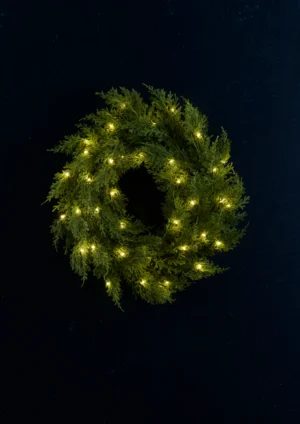 Jõulupärg Day 39 LED patareitoite ja taimeriga 50cm