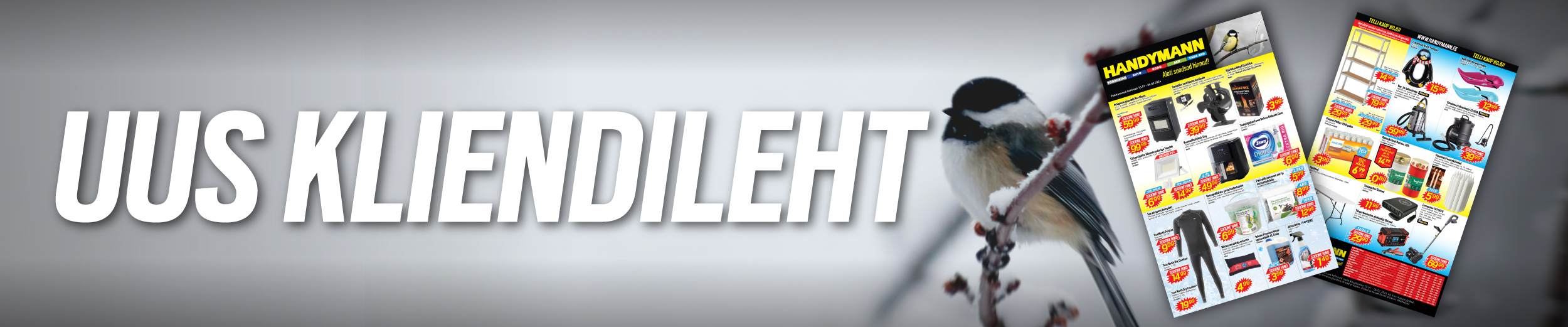 Avaleht - Handymann